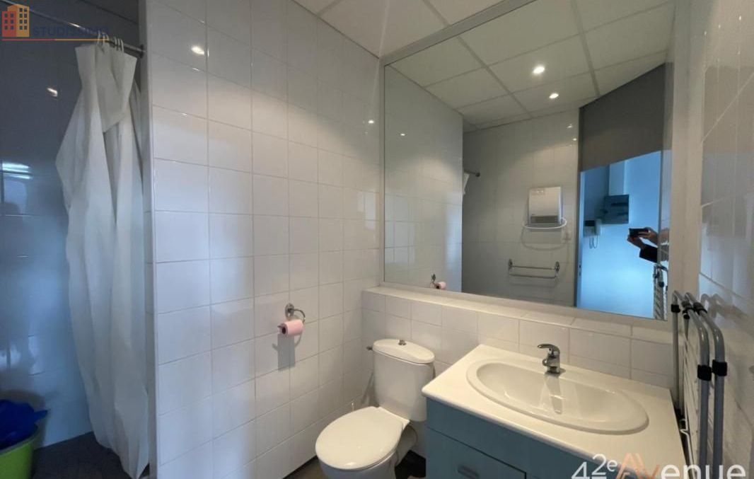 Studio 19m² Saint-Étienne 42000 - Lumineux, 2e étage - Photo 8
