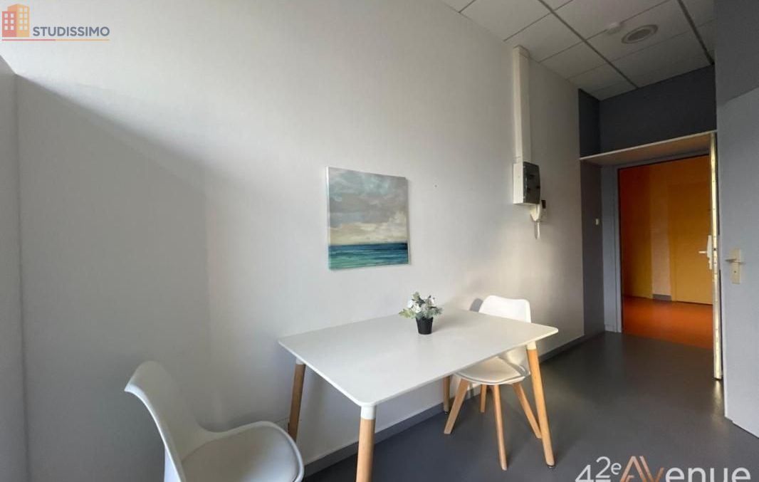 Studio 19m² Saint-Étienne 42000 - Lumineux, 2e étage - Photo 3