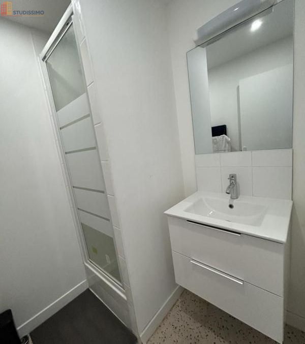Studio meublé 12m² Villeurbanne - Lumineux, 4e étage - Photo 3