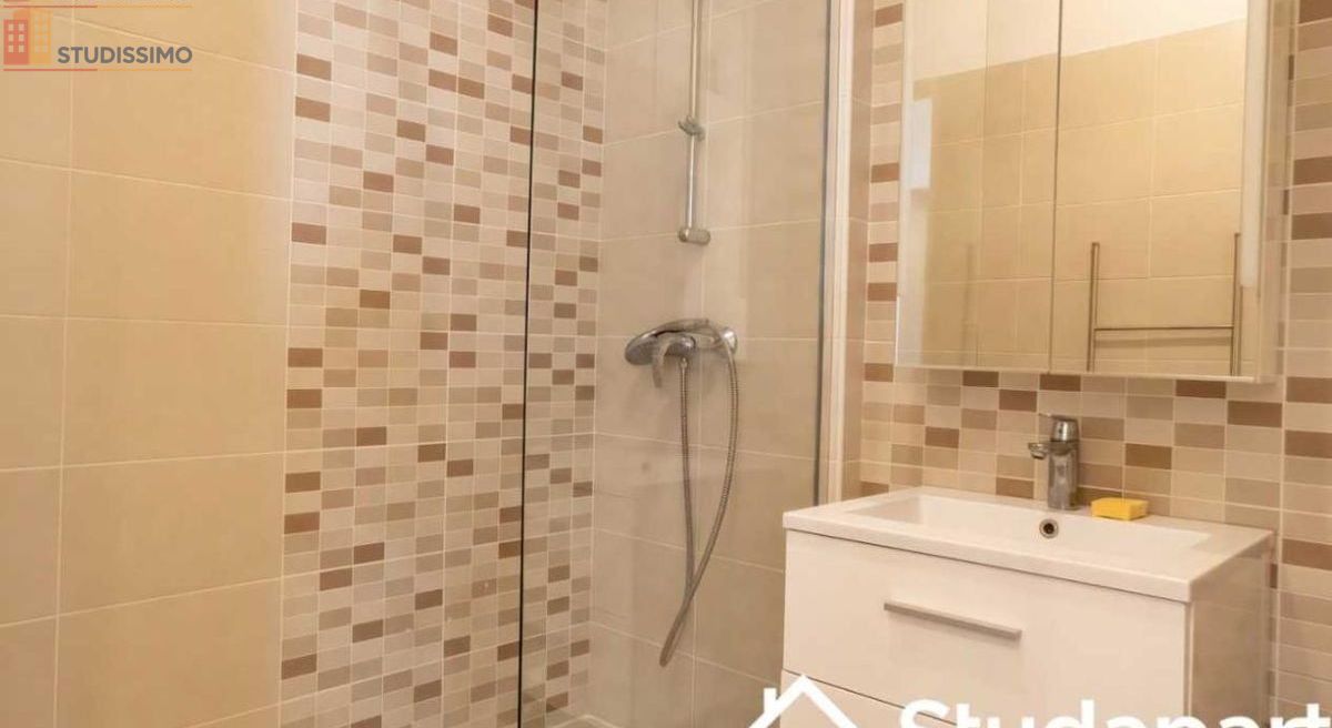 Studio meublé 78m² Bron - Lumineux, 4e étage - Photo 1