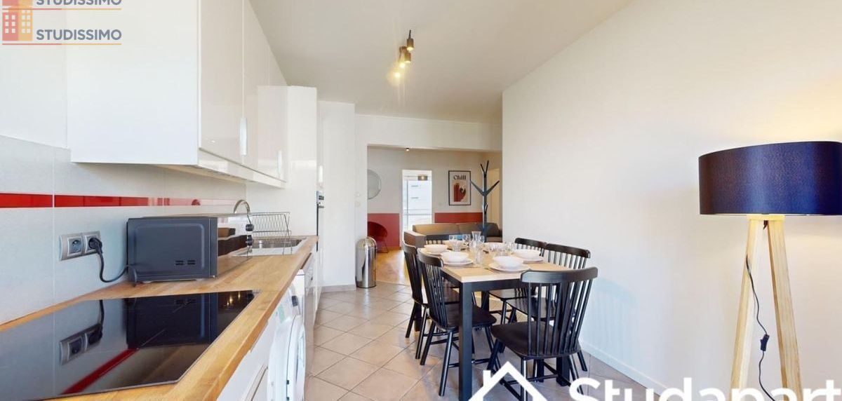 Studio meublé 9m² Lyon 3e - Étage élevé, lumineux - Photo 3