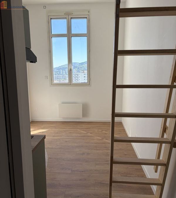 Studio 25m² Saint-Étienne 42100 - Dernier étage, lumineux - Photo 3