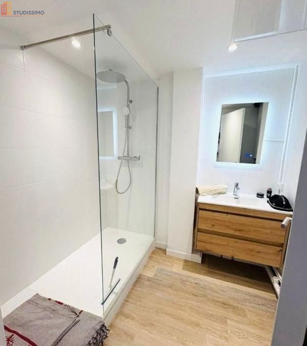 Studio meublé 13m² Villeurbanne - Lumineux, étage élevé - Photo 3