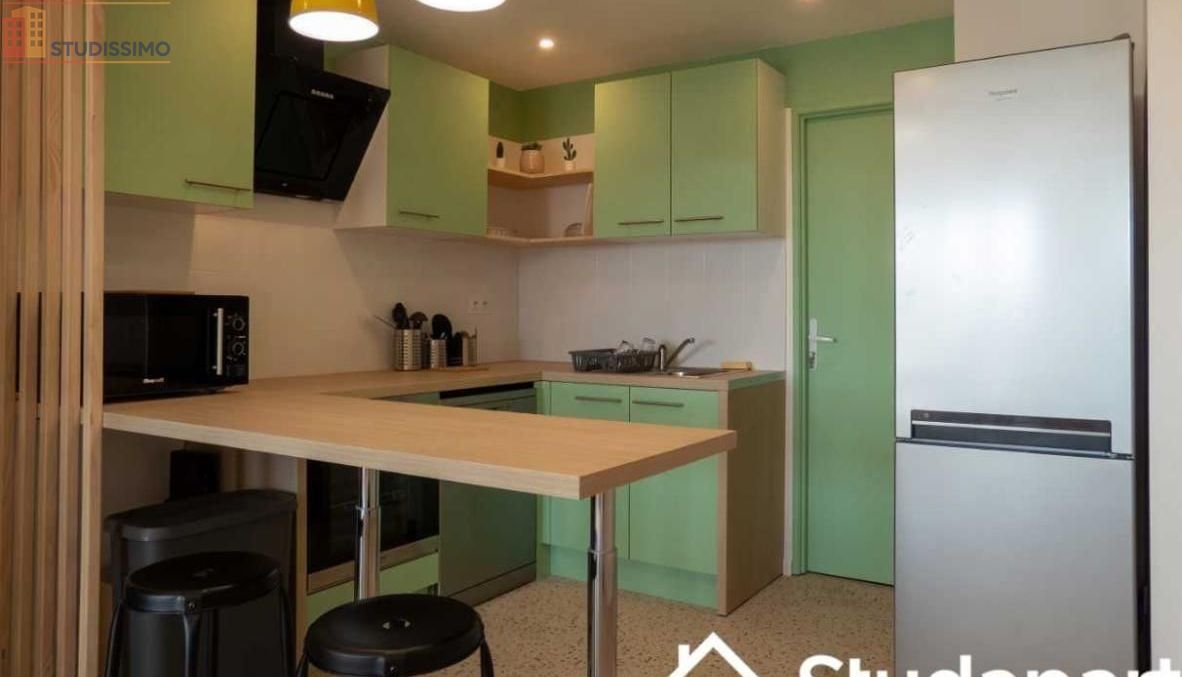 Studio meublé 78m² Bron - Grand, lumineux - Photo 3