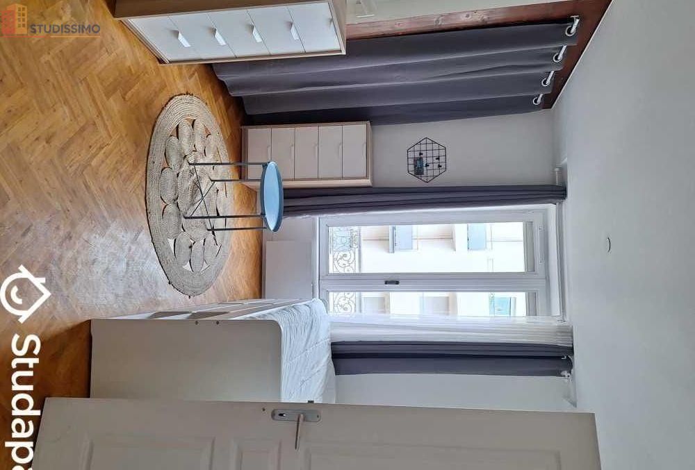 Studio meublé 16m² Lyon 7e - Meublé, calme - Photo 3