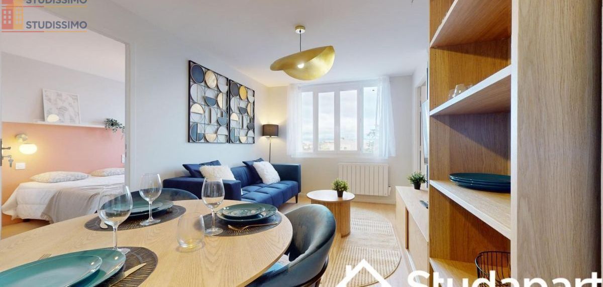 Studio meublé 10m² Villeurbanne - Meublé, DPE A - Photo 4