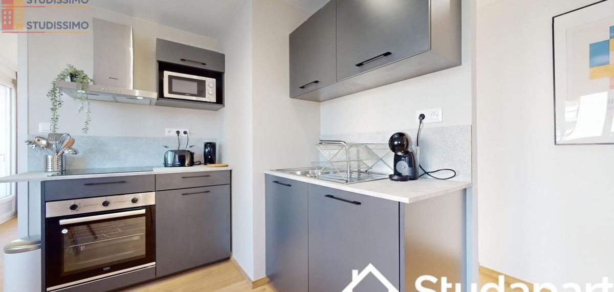 Studio 31m² Caluire-et-Cuire - Meublé, DPE A - Photo 3