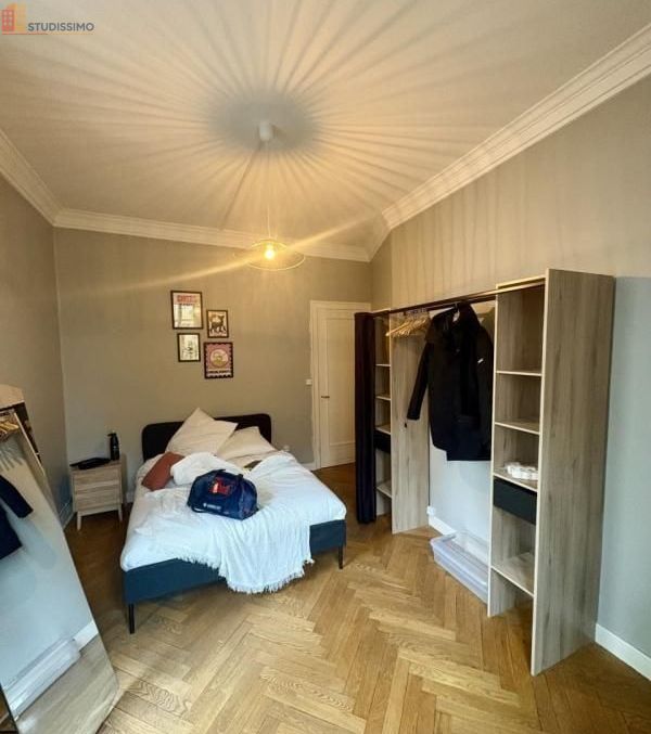 Studio meublé 14m² Lyon 3e - Lumineux - Photo 4