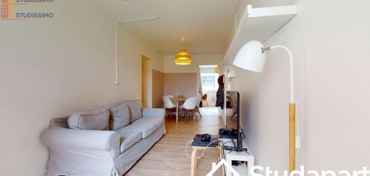Studio meublé 18m² Villeurbanne - Meublé, DPE A - Photo 4