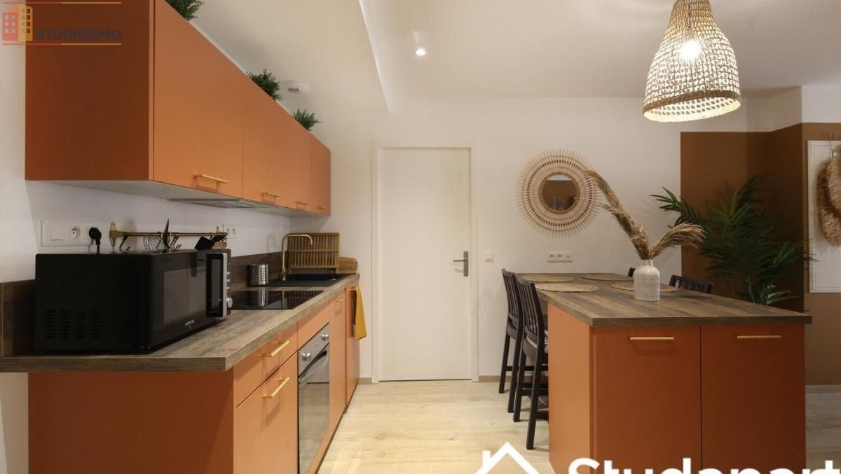 Studio 10m² Lyon 2e - Meublé, lumineux - Photo 2
