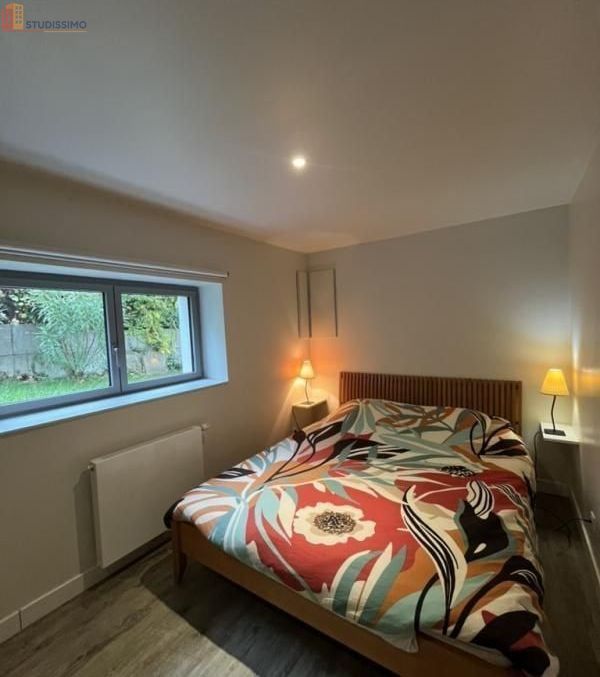 Studio meublé 20m² Neuville-sur-Saône - Meublé, DPE A - Photo 2