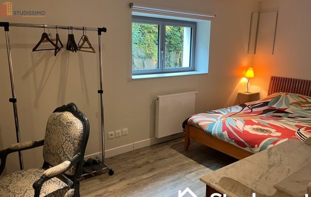 Studio meublé 20m² Neuville-sur-Saône - Meublé, DPE A - Photo 1
