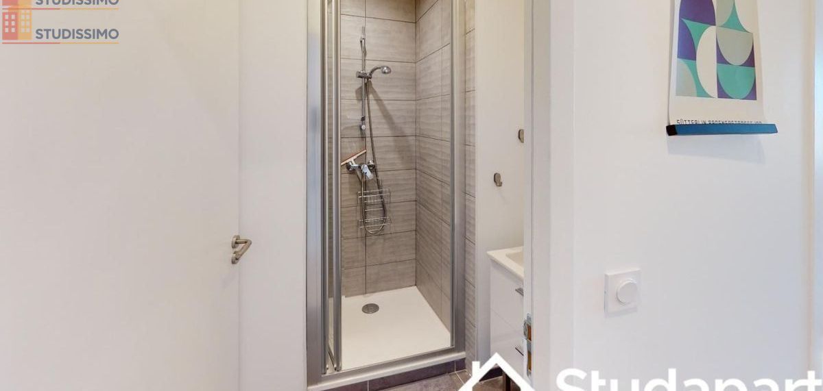 Studio 88m² Villeurbanne - Meublé, DPE A - Photo 3