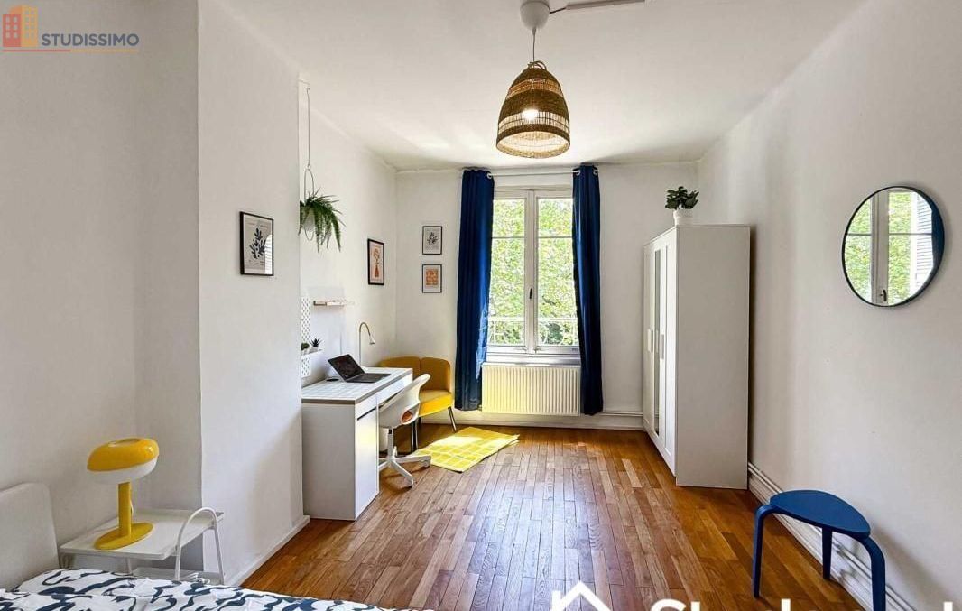 Studio 85m² Lyon 3e - Meublé, lumineux - Photo 4