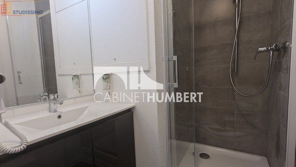 Studio 19m² Saint-Étienne - Dernier étage, lumineux - Photo 4