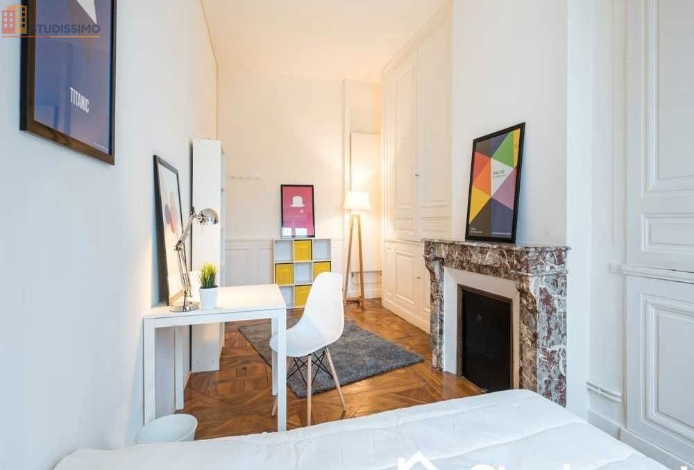 Studio meublé 19m² Lyon 2e - Meublé, 2e étage - Photo 4