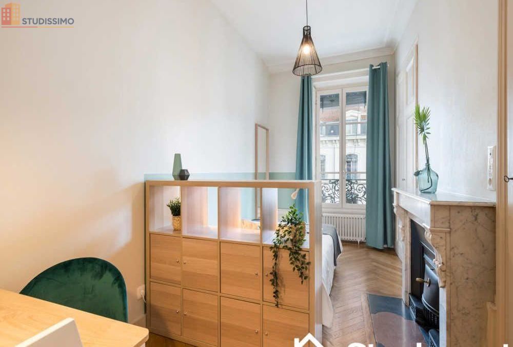 Studio meublé 14m² Lyon 2e - Calme, lumineux - Photo 3