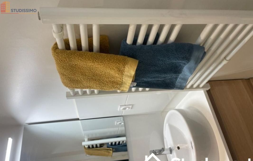 Studio meublé 24m² Lyon 1er - Meublé, DPE A - Photo 1