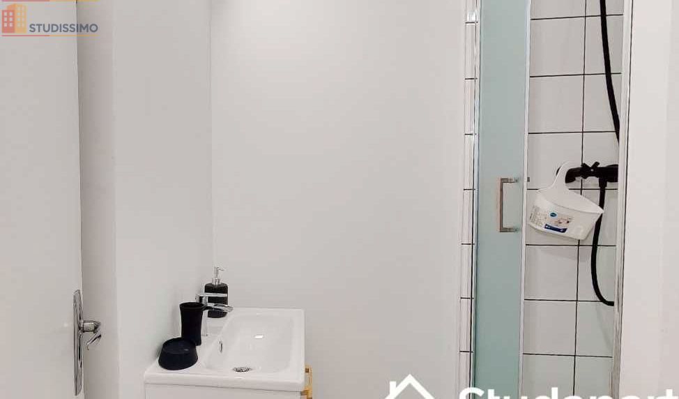 Studio 62m² Villeurbanne - Meublé, spacieux - Photo 1
