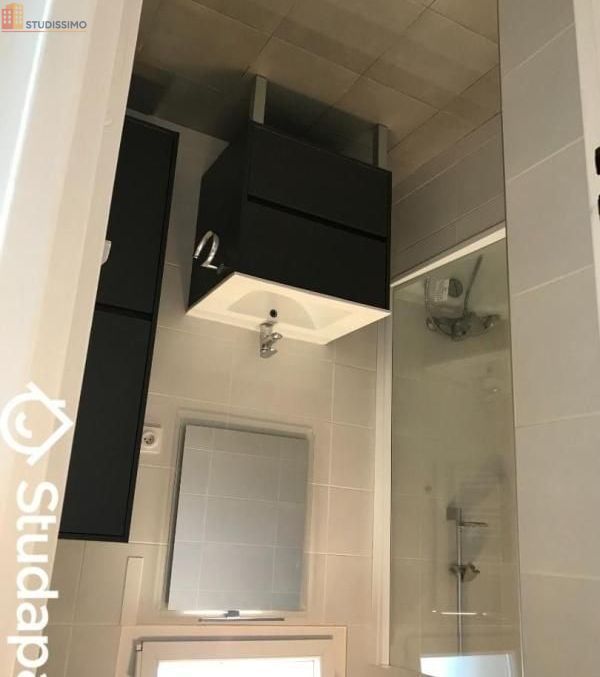 Studio meublé 9m² Villeurbanne - Lumineux, dernier étage - Photo 3