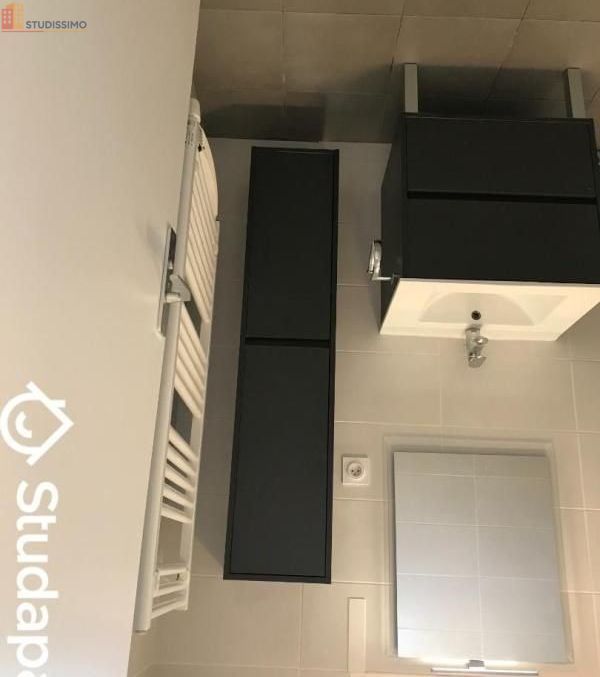 Studio meublé 9m² Villeurbanne - Lumineux, dernier étage - Photo 1