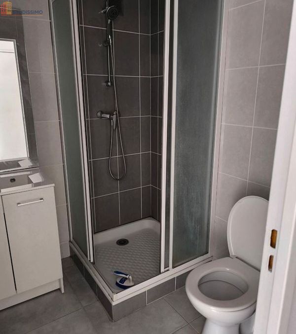 Studio 27m² Saint-Étienne 42100 - Balcon, lumineux - Photo 1