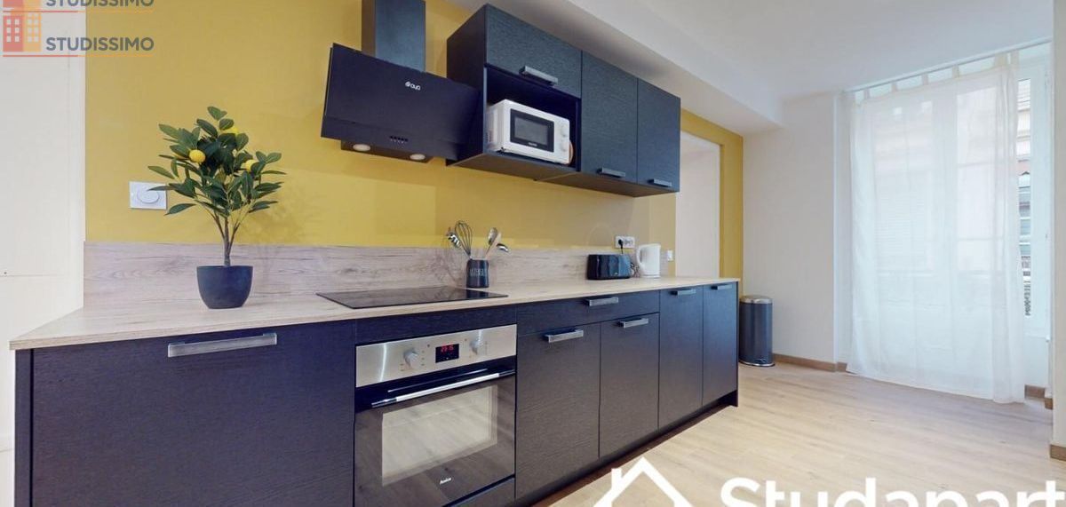Studio meublé 12m² Lyon 2e - Meublé, DPE A - Photo 1