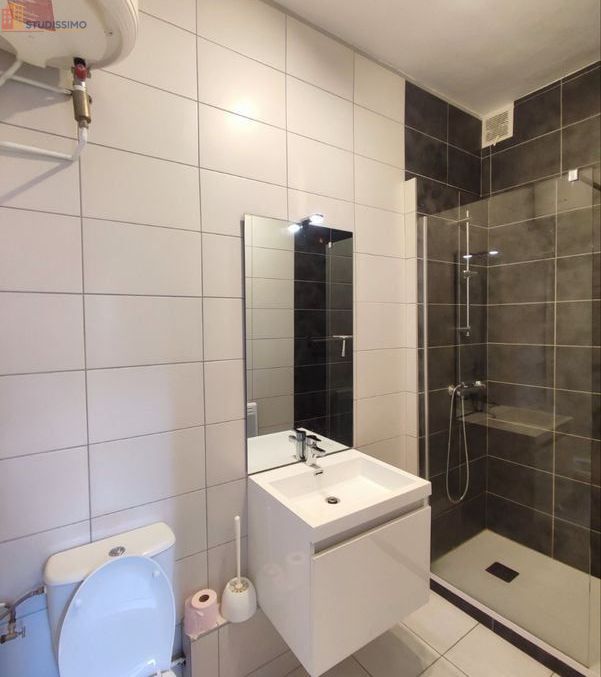 Studio 28m² Saint-Étienne 42100 - Meublé, loué - Photo 1