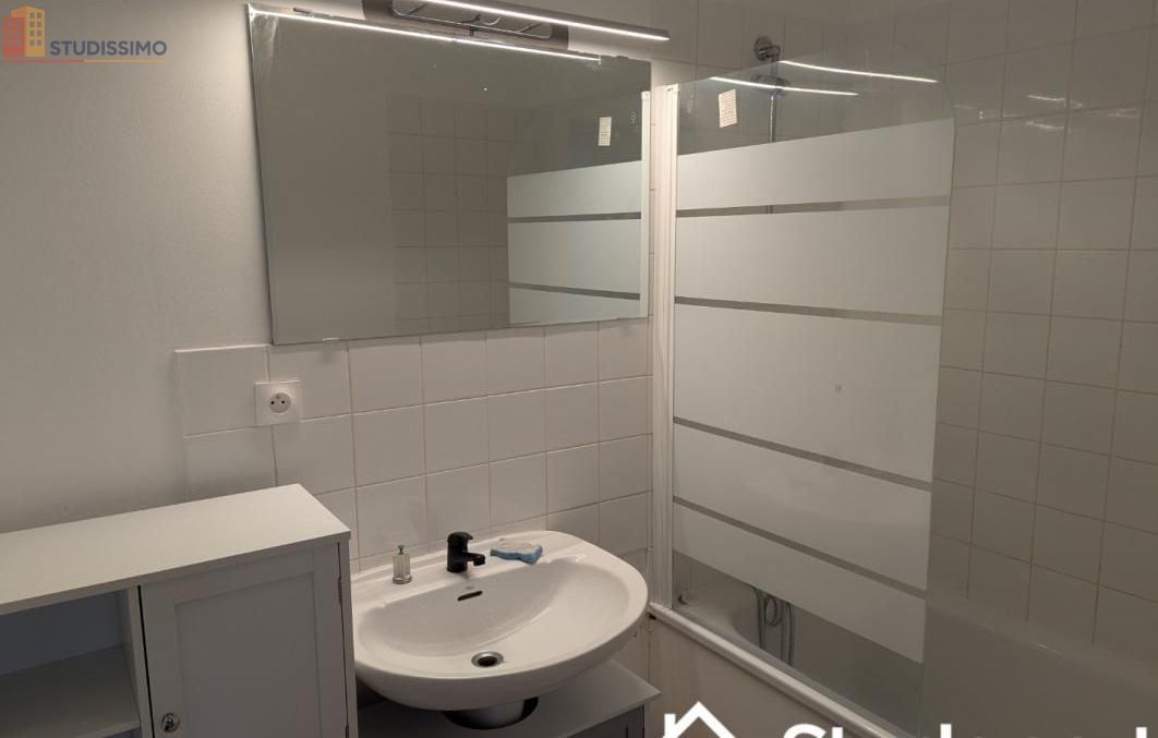 Studio 10m² Villeurbanne - Meublé, DPE A - Photo 3
