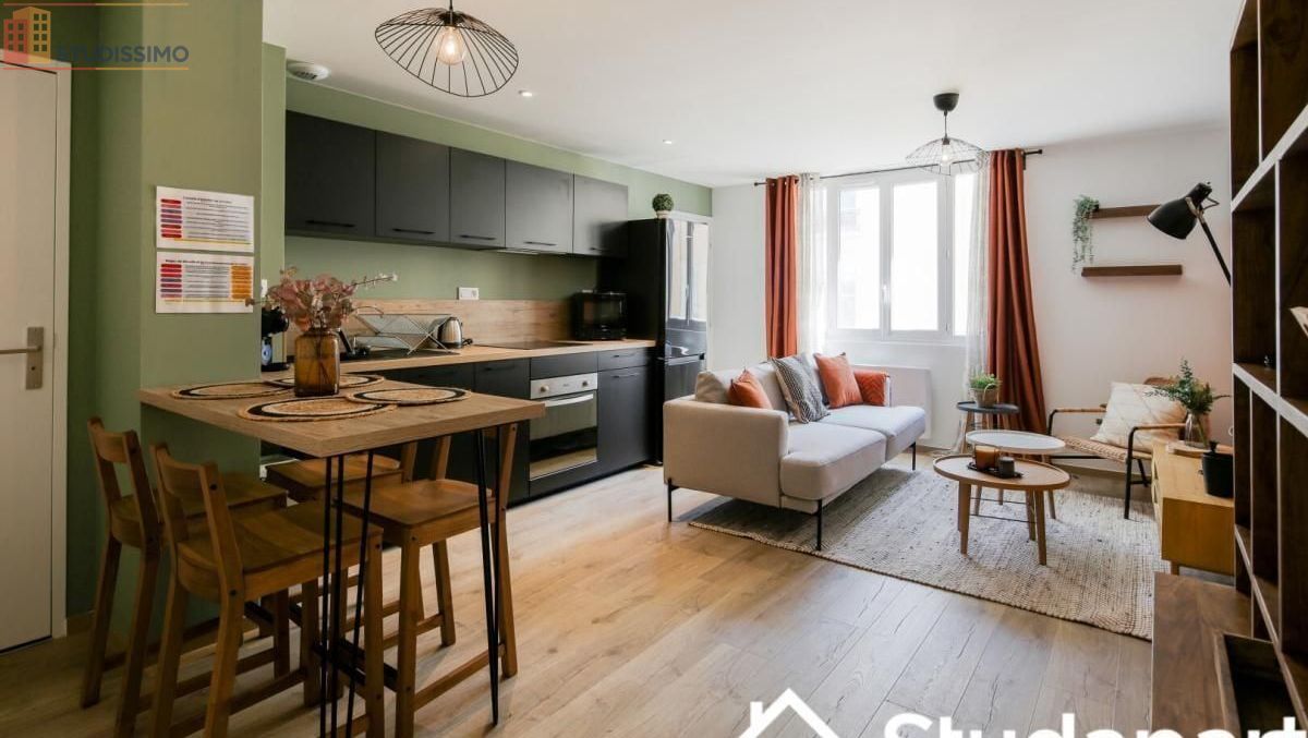 Studio meublé 12m² Lyon 7e - Meublé, DPE A - Photo 4
