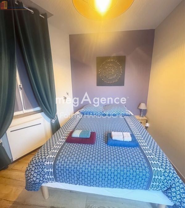 Studio 35m² Le Chambon-Feugerolles - lumineux - Photo 4