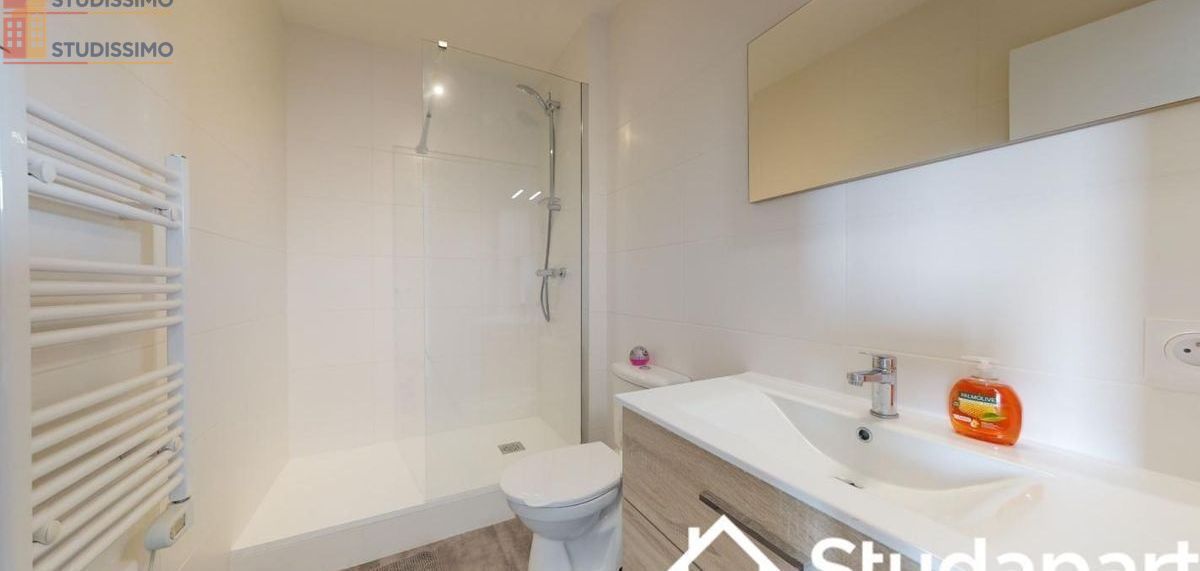 Studio 9m² Saint-Priest - Meublé, 9e étage - Photo 3