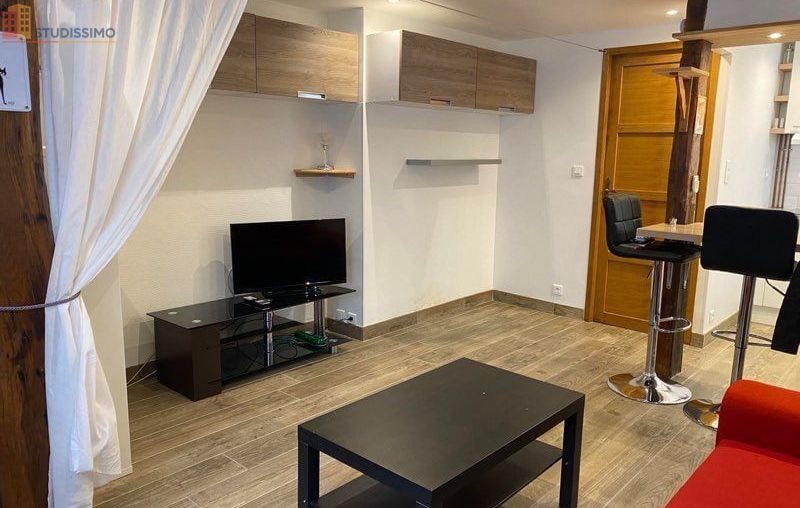 Studio meublé 23m² Rouen centre-ville - Calme, lumineux - Photo 1