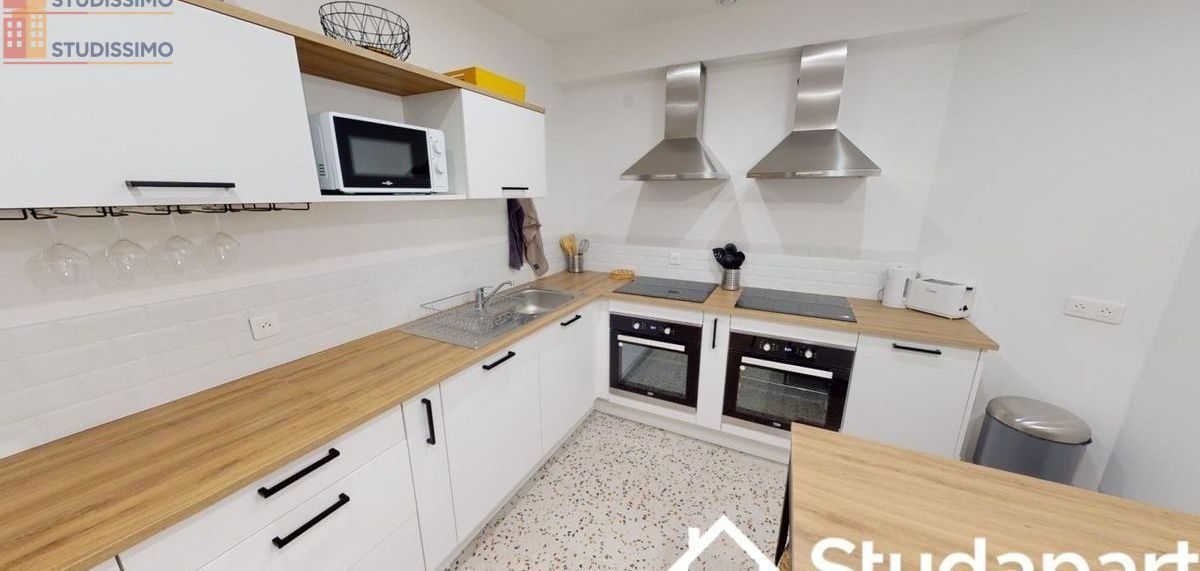 Studio meublé 9m² Villeurbanne - Meublé, DPE B - Photo 3