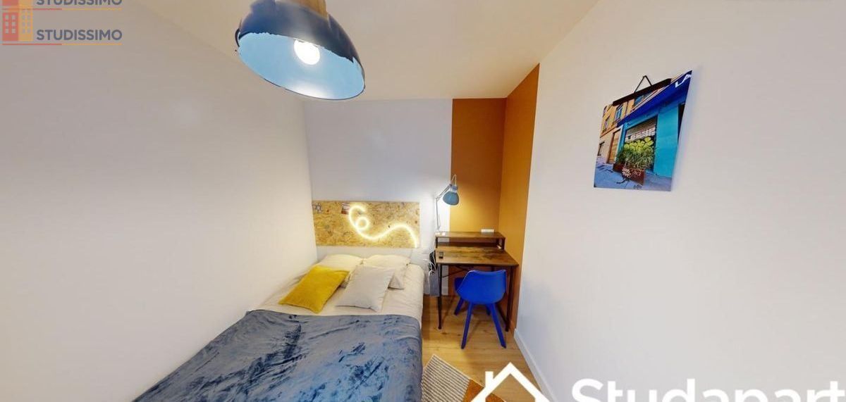 Studio meublé 15m² Caluire-et-Cuire - Meublé, DPE A - Photo 2