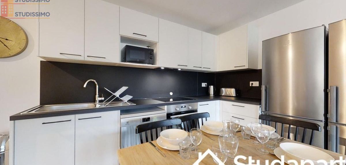 Studio meublé 11m² Villeurbanne - Lumineux, DPE A - Photo 4
