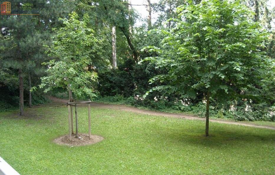 Studio meublé 16m² Caluire-et-Cuire - Proche Doua - Photo 1