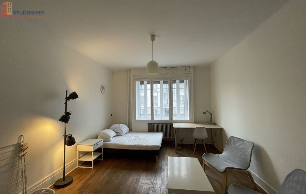 Studio 102m² Lyon 7e - Meublé - Photo 6