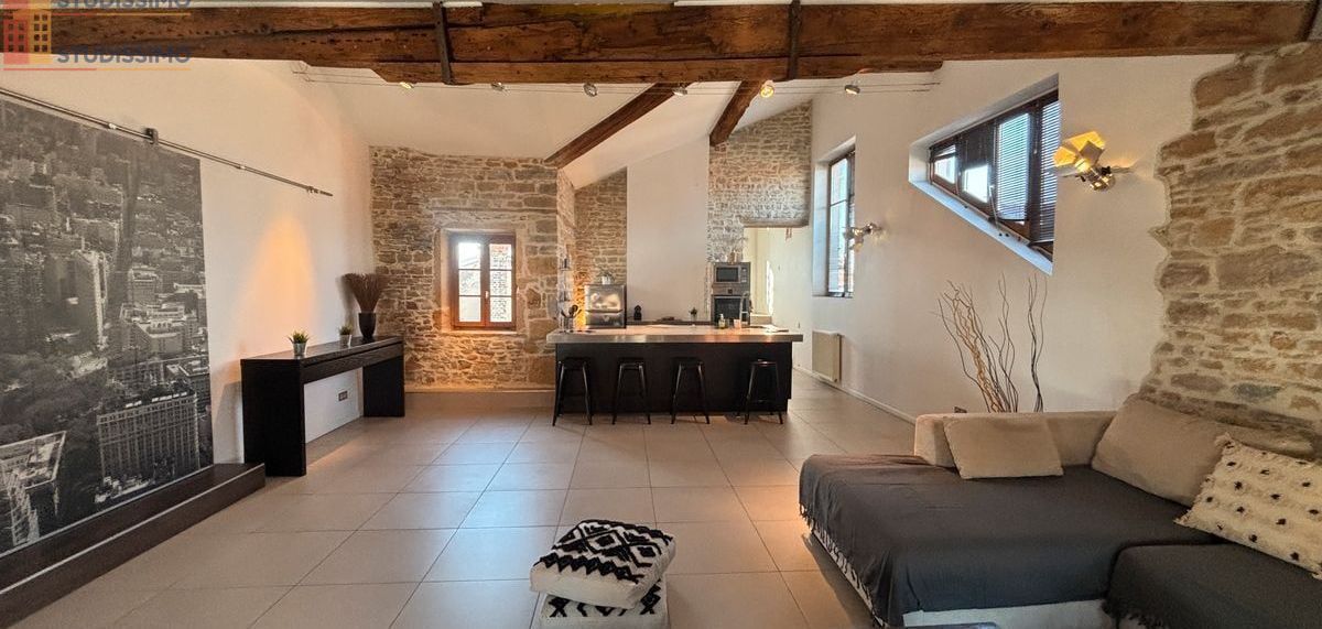Studio 95m² Lyon 2e - Meublé, cachet, dernier étage - Photo 2