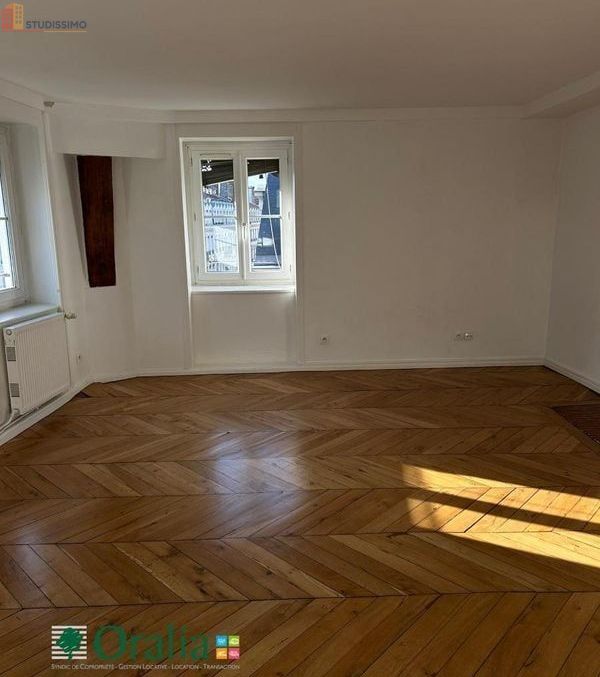 Studio 37m² Lyon 2e - Photo 8