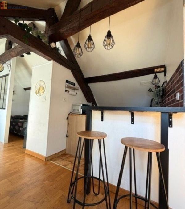 Studio 18m² Saran - Étage élevé, DPE D - Photo 9
