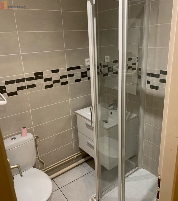 Studio meublé 20m² Villeurbanne - Proche métro, lumineux - Photo 1