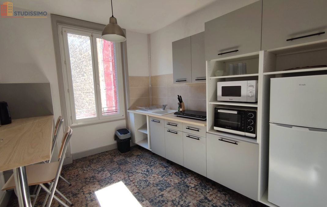 Studio meublé 33m² Lyon 3e - Proche métro, lumineux - Photo 3