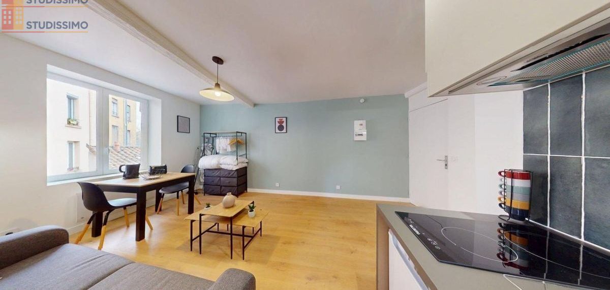 Studio 22m² Lyon 7e - Meublé, 2e étage - Photo 9