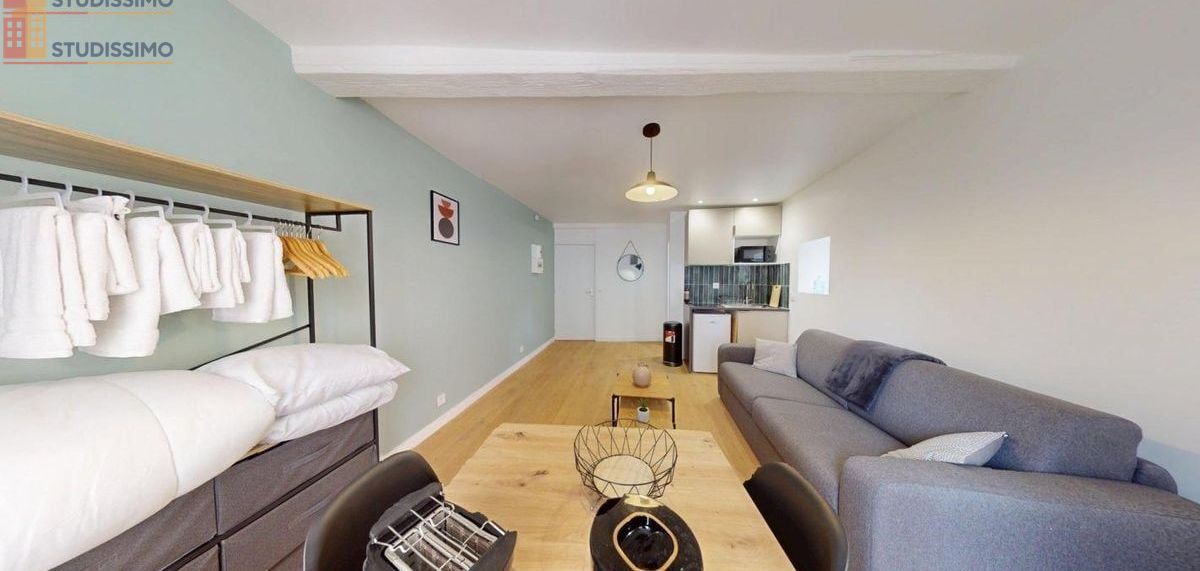 Studio 22m² Lyon 7e - Meublé, 2e étage - Photo 10