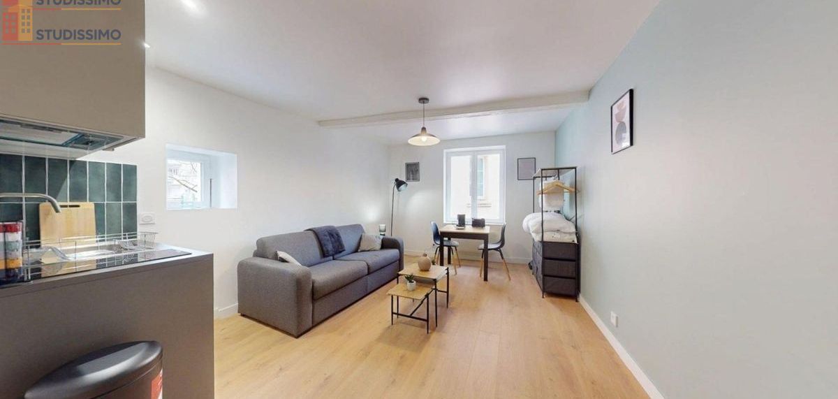 Studio 22m² Lyon 7e - Meublé, 2e étage - Photo 6
