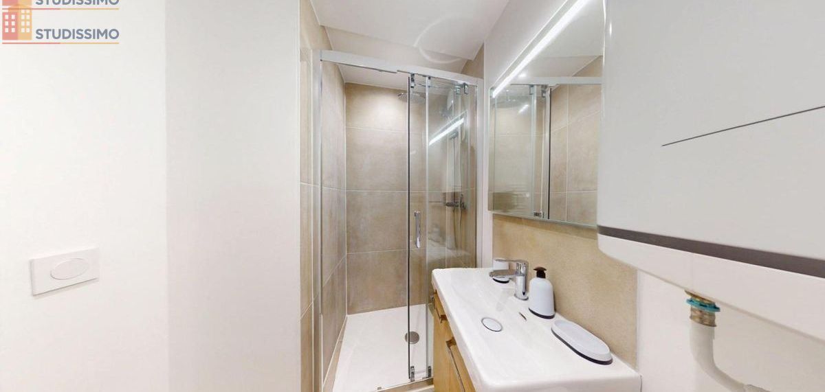 Studio 22m² Lyon 7e - Meublé, 2e étage - Photo 3