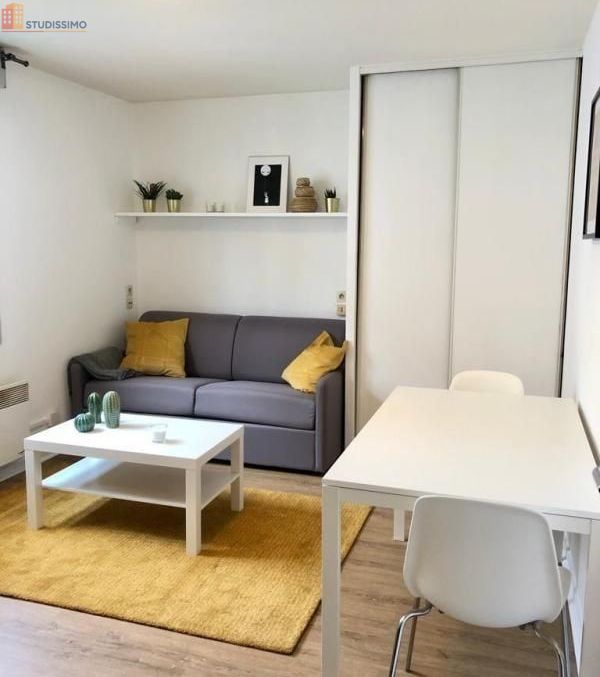 Studio meublé 24m² Lyon 7e - Étage élevé, lumineux - Photo 3