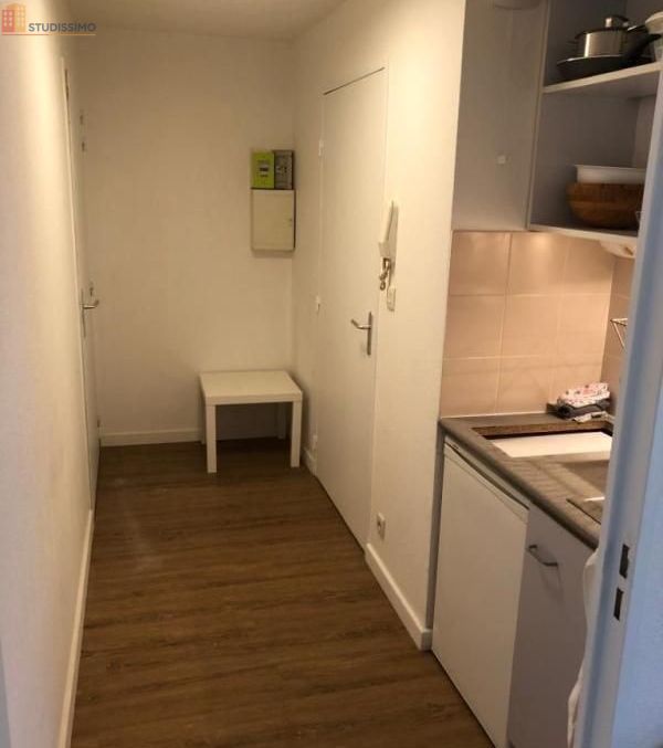 Studio meublé 24m² Lyon 7e - Étage élevé, lumineux - Photo 1