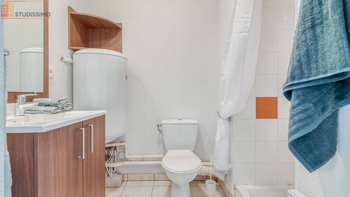 Studio 17m² Lyon 7e - Meublé, 1 pièce - Photo 3